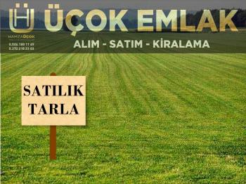 AFYON ÜÇOK EMLAKTAN SİNANPAŞA / BOYALI KÖYÜNDE SATILIK 3.285M² TARLA