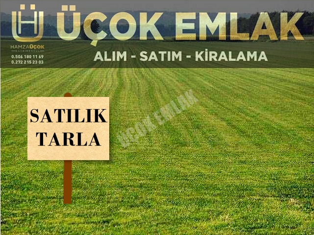 AFYON ÜÇOK EMLAKTAN SİNANPAŞA / BOYALI KÖYÜNDE SATILIK 3.285M² TARLA