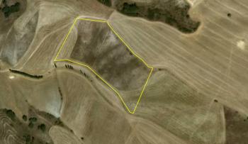 GÜVENAY - ÇORUM SERPİN İLERİSİ 15 DÖNÜM SATILIK TARLA