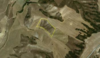 GÜVENAY - ÇORUM SERPİN İLERİSİ 15 DÖNÜM SATILIK TARLA