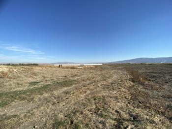 GÜVENAY - ÇORUM ORGANİZE KARŞISI KADIKIRI MEVKİİ 34 DÖNÜM SATILIK TARLA