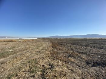 GÜVENAY - ÇORUM ORGANİZE KARŞISI KADIKIRI MEVKİİ 34 DÖNÜM SATILIK TARLA