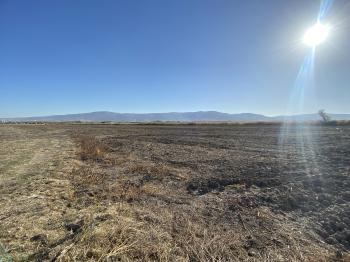 GÜVENAY - ÇORUM ORGANİZE KARŞISI KADIKIRI MEVKİİ 34 DÖNÜM SATILIK TARLA