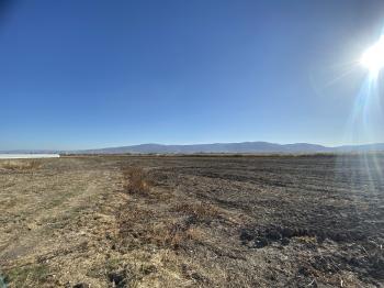 GÜVENAY - ÇORUM ORGANİZE KARŞISI KADIKIRI MEVKİİ 34 DÖNÜM SATILIK TARLA