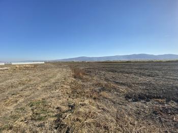 GÜVENAY - ÇORUM ORGANİZE KARŞISI KADIKIRI MEVKİİ 34 DÖNÜM SATILIK TARLA