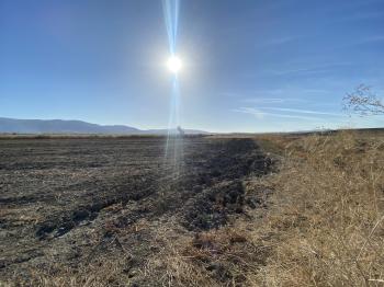 GÜVENAY - ÇORUM ORGANİZE KARŞISI KADIKIRI MEVKİİ 34 DÖNÜM SATILIK TARLA