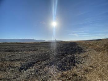 GÜVENAY - ÇORUM ORGANİZE KARŞISI KADIKIRI MEVKİİ 34 DÖNÜM SATILIK TARLA