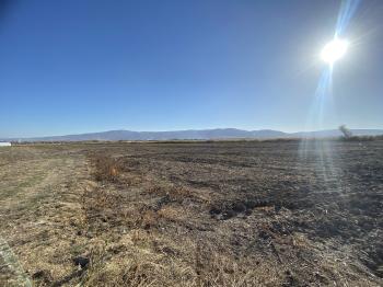 GÜVENAY - ÇORUM ORGANİZE KARŞISI KADIKIRI MEVKİİ 34 DÖNÜM SATILIK TARLA