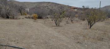 GÜVENAY – ÇORUM ESKİEKİN BAĞLARI – 2.743 m² MÜSTAKİL TAPULU SATILIK BAĞ