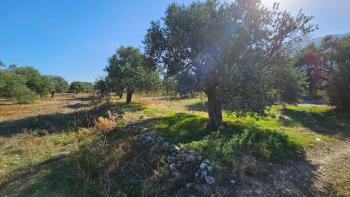Land for sale in Lapta, Girne, Northern Cyprus