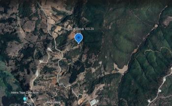 Bilecik Bozüyük Doruk'ta Yolu Olan 4.246 m2 Satılık Tarla
