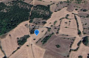 Bilecik Gölpazarı Kavak'ta Verimli Tarım Topraklarına Sahip 3.060 m2 Satılık Tarla