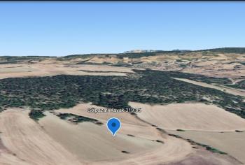 Bilecik Gölpazarı Kavak'ta Verimli Tarım Topraklarına Sahip 9.676 m2 Satılık Tarla