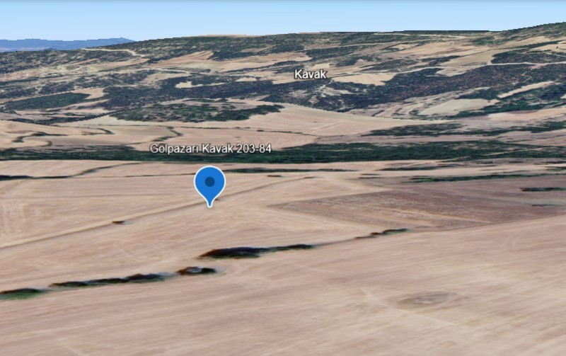 Bilecik Gölpazarı Kavak'ta Verimli Tarım Topraklarına Sahip Yolu Bulunan 8.024 m2 Satılık Tarla
