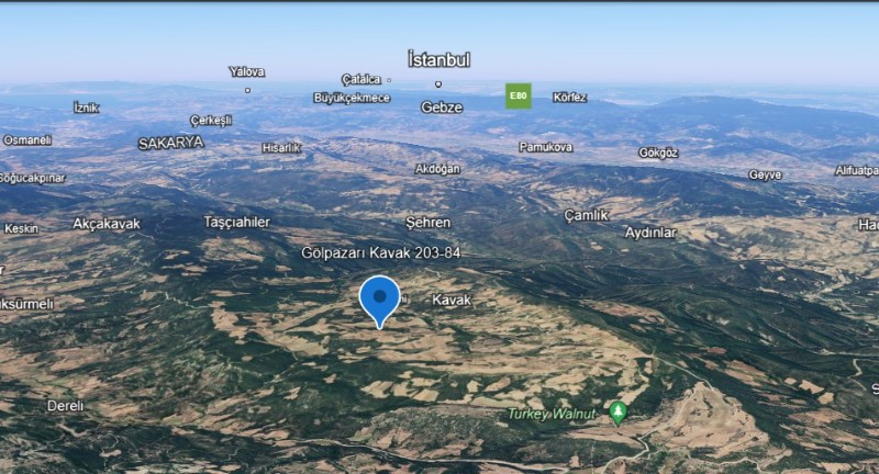 Bilecik Gölpazarı Kavak'ta Verimli Tarım Topraklarına Sahip Yolu Bulunan 8.024 m2 Satılık Tarla