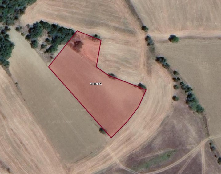 Bilecik Gölpazarı Kavak'ta Verimli Tarım Topraklarına Sahip 3.913 m2 Satılık Tarla