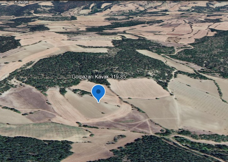 Bilecik Gölpazarı Kavak'ta Verimli Tarım Topraklarına Sahip 3.913 m2 Satılık Tarla