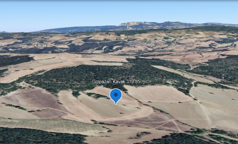 Bilecik Gölpazarı Kavak'ta Verimli Tarım Topraklarına Sahip 9.676 m2 Satılık Tarla