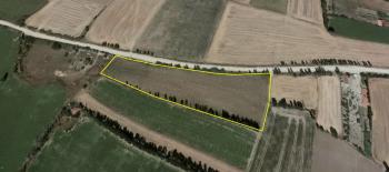 GÜVENAY - ÇORUM CELİLKIRI KÖYÜ YOL ÜZERİNDE 1,400 M² TARLADAN HİSSE