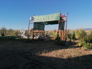 GÜVENAY - ÇORUM MERKEZE 15 KM BEYDİLİ İLERİSİ SATILIK EVİ OLAN BAĞ