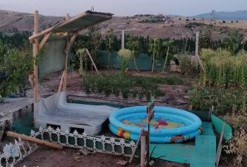 GÜVENAY - ÇORUM MERKEZE 15 KM BEYDİLİ İLERİSİ SATILIK EVİ OLAN BAĞ