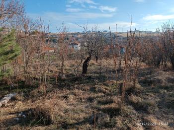 GÜVENAY - ÇORUM AYARIK BAĞLARI 2.117M2 SATILIK BAĞ   