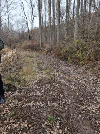 GÜVENAY - ÇORUM BÜĞET KÖYÜ TEK TAPU SATILIK BAHÇE