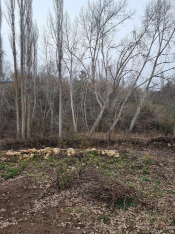 GÜVENAY - ÇORUM BÜĞET KÖYÜ TEK TAPU SATILIK BAHÇE