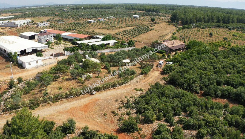 FARM HOUSE FOR SALE IN ANTALYA TURKEY, SATILIK ÇİFTLİK ANTALYA 19 DÖNÜM 