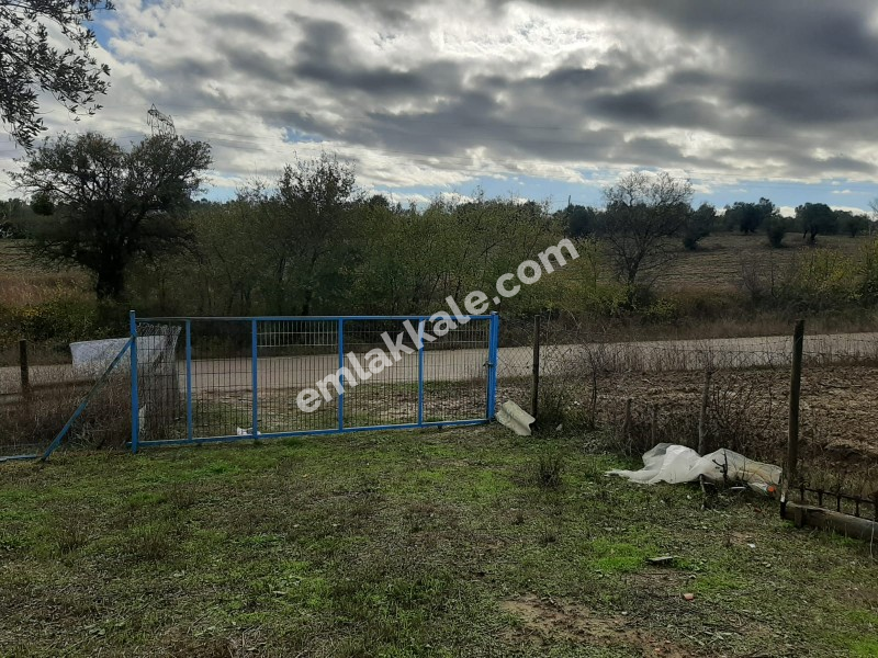 ÇANAKKALE ECEABAT BİGALI KÖYÜNDE ASFALT CEPHELİ SATILIK HOBİ BAHÇESİ