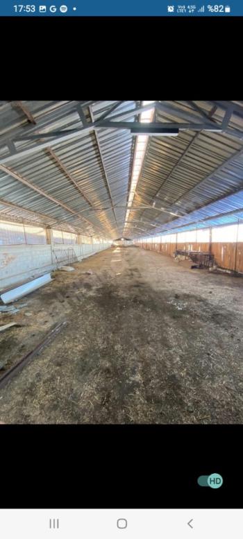 GÜVENAY - ÇORUM İSKİLİP YOLUNDA SATILIK 11.112 M² ÇİFTLİK