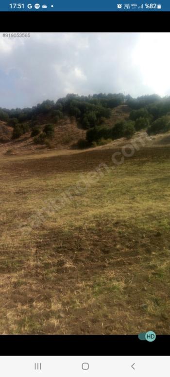 GÜVENAY - ÇORUM İSKİLİP YOLUNDA SATILIK 11.112 M² ÇİFTLİK