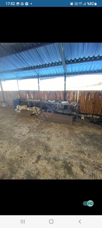 GÜVENAY - ÇORUM İSKİLİP YOLUNDA SATILIK 11.112 M² ÇİFTLİK