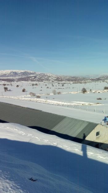 GÜVENAY - ÇORUM İSKİLİP YOLUNDA SATILIK 11.112 M² ÇİFTLİK