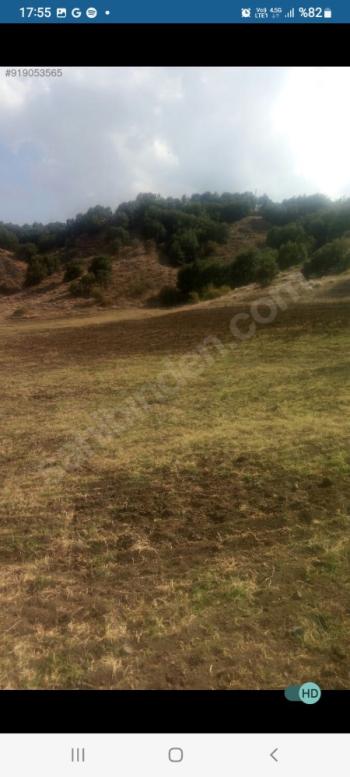 GÜVENAY - ÇORUM İSKİLİP YOLUNDA SATILIK 11.112 M² ÇİFTLİK