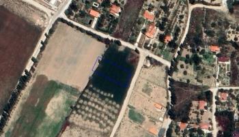 GÜVENAY - ÇORUM İBRAHİM ÇAYIRI 1 DÖNÜM SATILIK VİLLA ARSASI