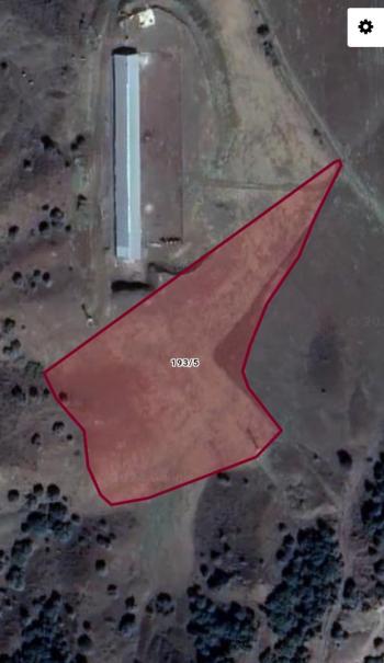 GÜVENAY - ÇORUM SEYDİM KÖYÜ MEVKİİ 9 DÖNÜM SATILIK TARLA