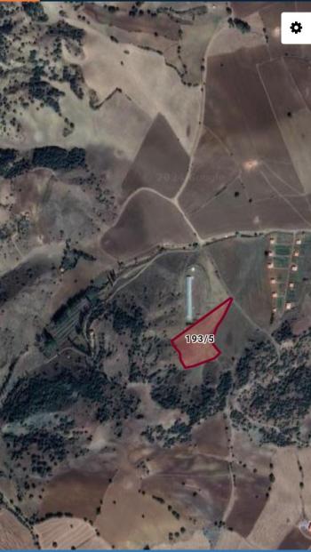 GÜVENAY - ÇORUM SEYDİM KÖYÜ MEVKİİ 9 DÖNÜM SATILIK TARLA