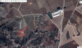 GÜVENAY - ÇORUM SEYDİM KÖYÜ MEVKİİ 9 DÖNÜM SATILIK TARLA