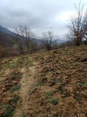 DijitalEmlak'tan Osmangazi K.Deliller köyü Ana Yola Yakın Satılık Yatırımlık 5.300 M2 Tarla