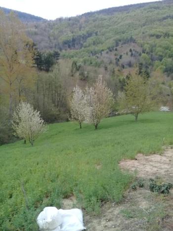 DijitalEmlak'tan Osmangazi K.Deliller köyü Ana Yola Yakın Satılık Yatırımlık 5.300 M2 Tarla