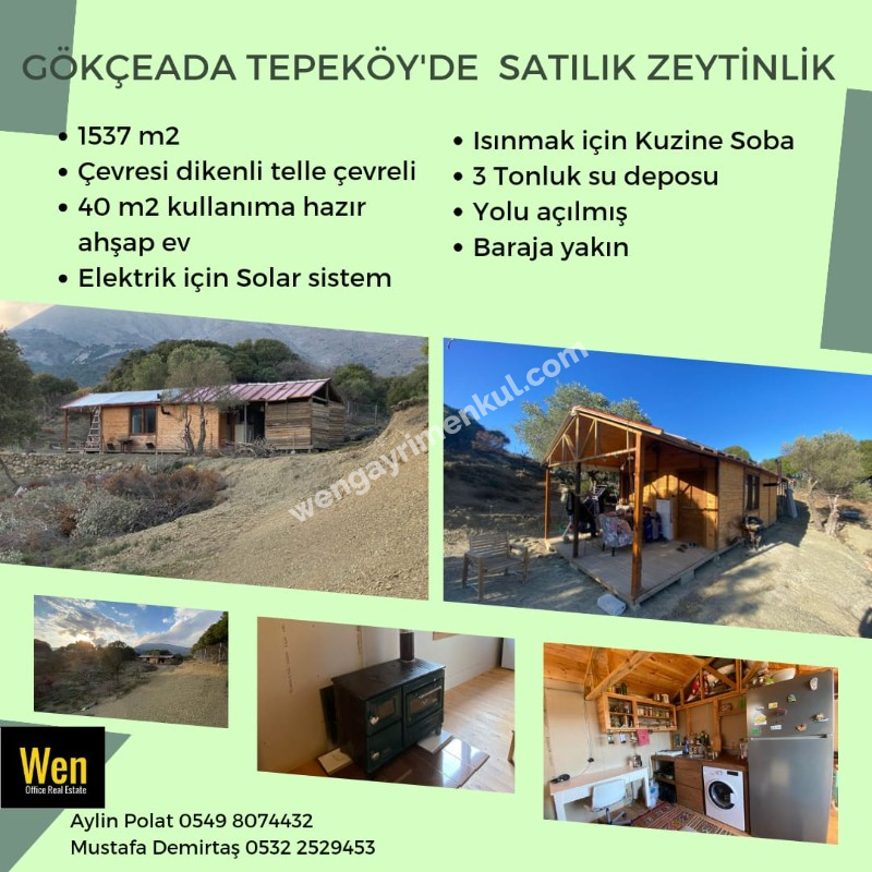 Çanakkale Gökçeada Tepeköyde 1.537 m2 Zeytinlik