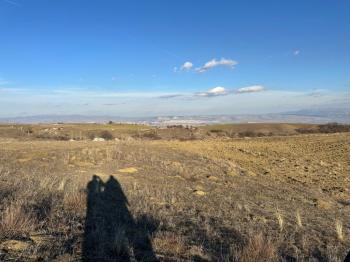 GÜVENAY - ÇORUM ORGANİZEYE YAKIN 70 DÖNÜM SATILIK TARLA