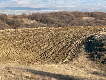 GÜVENAY - ÇORUM ORGANİZEYE YAKIN 70 DÖNÜM SATILIK TARLA