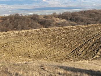 GÜVENAY - ÇORUM ORGANİZEYE YAKIN 70 DÖNÜM SATILIK TARLA