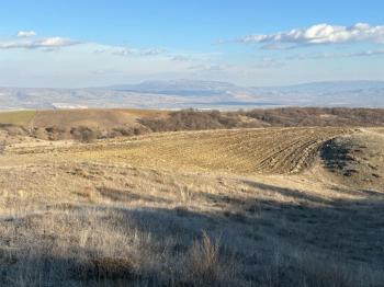 GÜVENAY - ÇORUM ORGANİZEYE YAKIN 70 DÖNÜM SATILIK TARLA