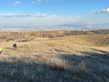 GÜVENAY - ÇORUM ORGANİZEYE YAKIN 70 DÖNÜM SATILIK TARLA