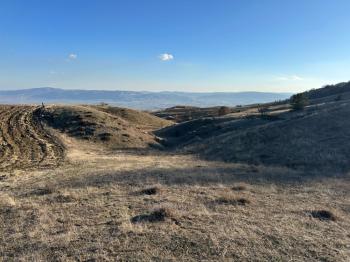 GÜVENAY - ÇORUM ORGANİZEYE YAKIN 70 DÖNÜM SATILIK TARLA