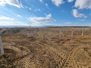 GÜVENAY - ÇORUM BARAJ MANZARALI MERKEZDE 475 M² BAHÇELER