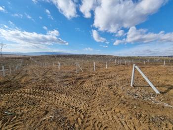 GÜVENAY - ÇORUM BARAJ MANZARALI MERKEZDE 475 M² BAHÇELER